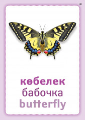 Жануарлар әлемі. Мир животных. Animal kingdom. Плакаттар топтамасы - Фото 4