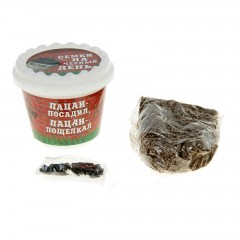 Растущая трава в горшочке «Семки на черный день» - Фото 4