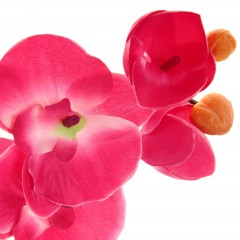 Цветы искусственные «Малиновые орхидеи» - Фото 1
