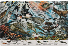 Виммельбух «Подводный мир» - Фото 1