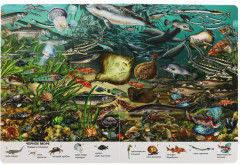 Виммельбух «Подводный мир» - Фото 3