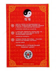 Ежедневник «Фэн-Шуй для привлечения денег» 96 листов - Фото 2