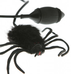 Прикол «Прыгающий паук» - Фото 1