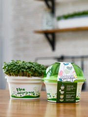 Набор для выращивания «Моя микрозелень. Рукола» - Фото 1