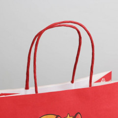 Пакет подарочный «Следующий год будет лучше» - Фото 2