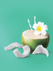 Кокос молодой вяленый - Фото 2