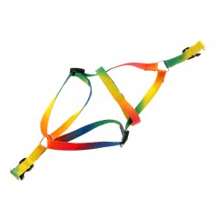 Комплект «Радуга», капрон - Фото 2