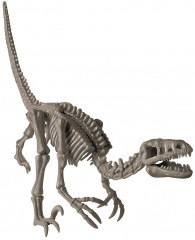 Набор «Раскопай скелет. Велоцираптор» - Фото 2