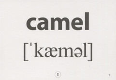 Английский язык. Животные - Фото 2