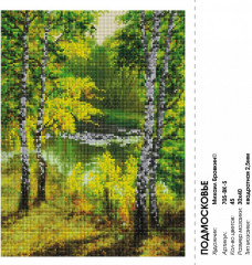 Мозаика алмазная «Подмосковье» - Фото 2