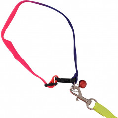 Поводок с ошейником и бубенчиком «Радуга» - Фото 2