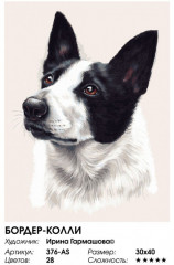 Картина по номерам «Бордер-колли» - Фото 1