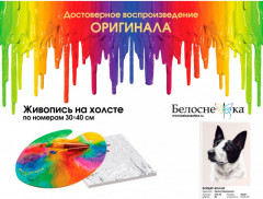 Картина по номерам «Бордер-колли» - Фото 4