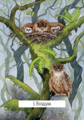 Таро ведьм - Фото 5