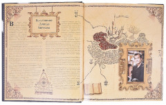 Гарри Поттер. Рождение легенды - Фото 3