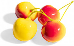 Набор искусственных ягод «Черешня» - Фото 4