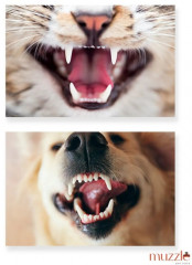 Гель для ухода за зубами собак и кошек - Фото 4