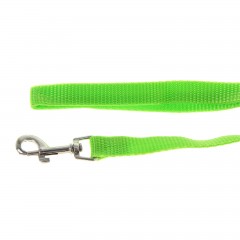 Комплект «Базис», поводок 120 х 1,5 см, шлейка 32-46 х 1,5 см, зеленый - Фото 1