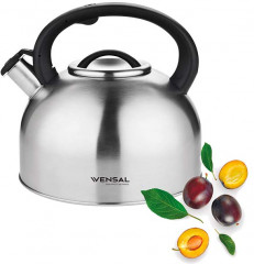 Чайник со свистком - Фото 2