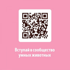 Наполнитель для кошачьего туалета гречишный - Фото 3