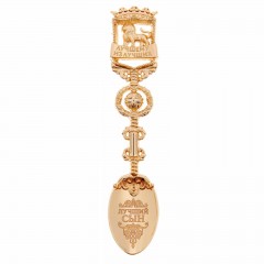 Ложка сувенирная в коробке «Лучший сын» - Фото 5