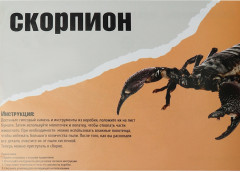 Набор археолога «Скорпион» - Фото 2