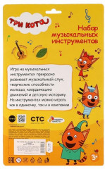 Набор музыкальных инструментов - Фото 5