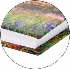 Ежедневник «Рассвет» - Фото 4