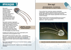 Қызықты деректер. Теңіз тұрғындары мен бауырымен жолғалаушылар - Фото 2