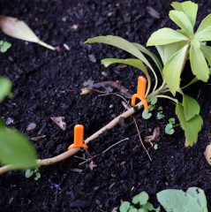 Набор фиксаторов для растений - Фото 3