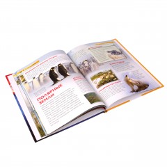 Планета Земля - Фото 2