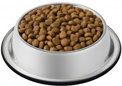 Корм сухой для кошек с домашней птицей и лососем - Фото 2