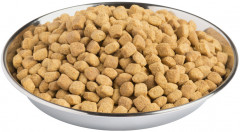 Корм сухой для кошек при расстройствах пищеварения - Фото 2