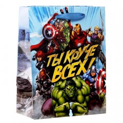 Пакет ламинат вертикальный «Ты круче всех», 31х40см, + мини-открытка - Фото 1