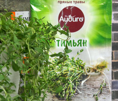 Тимьян - Фото 4