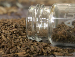 Тмин - Фото 2