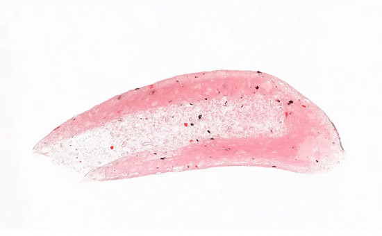 Скраб для тела «Ягодная роскошь»