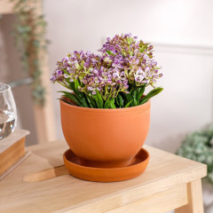 Горшок для цветов - Фото 2