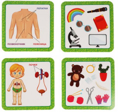 Карточки развивающие «Тело человека» - Фото 2