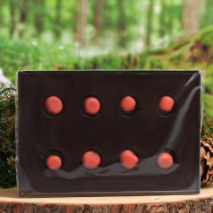 Борные шарики от тараканов и муравьев - Фото 2