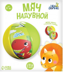 Мяч надувной - Фото 4