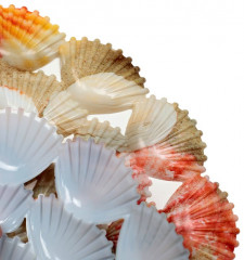 Решетка в раковину «Ракушки» - Фото 1