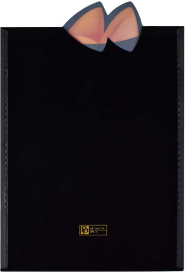 Папка для тетрадей