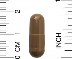 Капсулы «Ферулина» - Фото 8