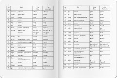 Королевский корги. Тетрадь для записи английских слов в начальной школе - Фото 5