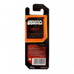 Брелок металлический «Магистр» - Фото 1