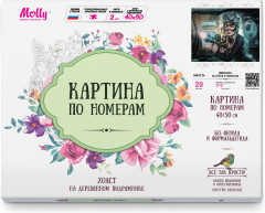 Картина по номерам «Девушка в стиле стимпанк» - Фото 2