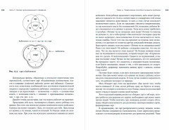 Управление жизненным циклом компании. Как организации растут, развиваются и умирают и что с этим делать - Фото 7