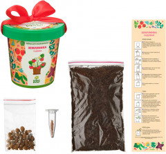 Набор для выращивания «Земляника садовая» - Фото 2