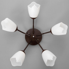 Люстра - Фото 3